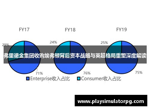 弗里德金集团收购埃弗顿背后资本战略与英超格局重塑深度解读